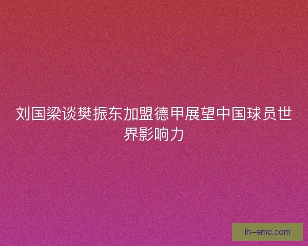 刘国梁谈樊振东加盟德甲展望中国球员世界影响力